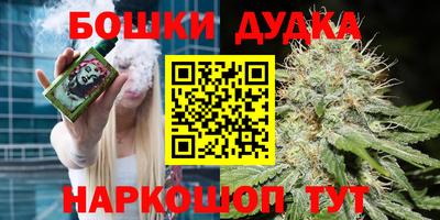 гидра Краснокаменск