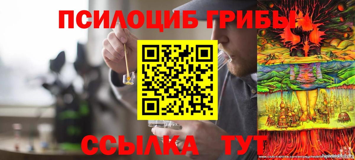 Псилоцибиновые грибы Magic Shrooms  Галлюциногенные грибы Psilocybe  Кимовск  Вход с VPN 