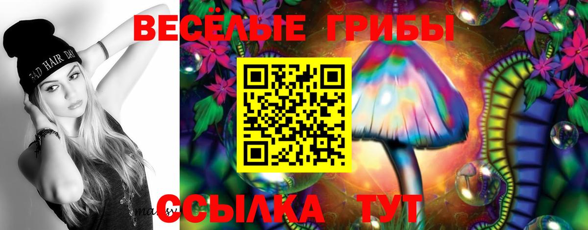 Галлюциногенные грибы прущие грибы Кимовск