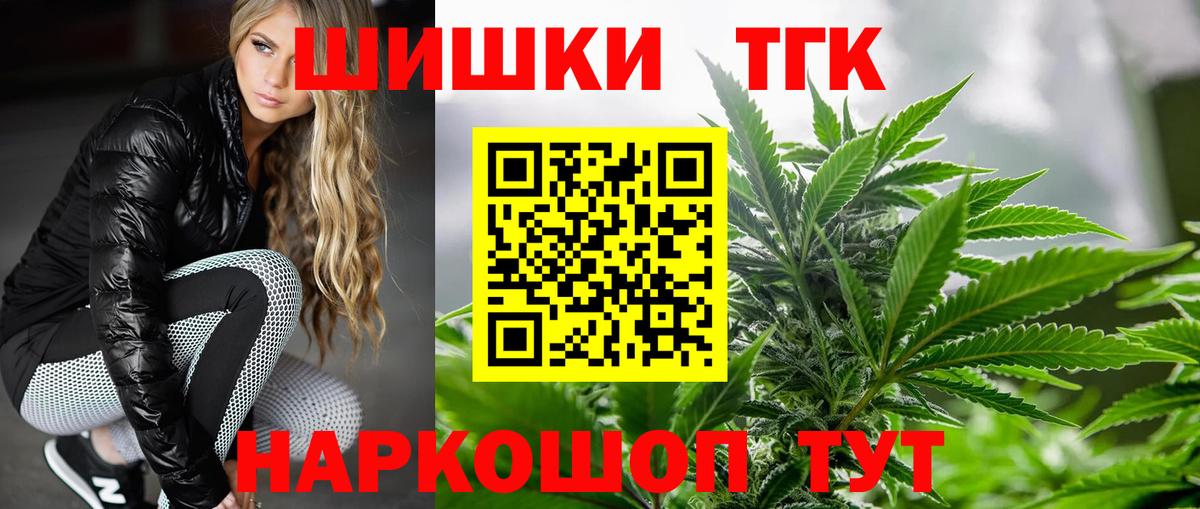 Конопля сатива Кимовск